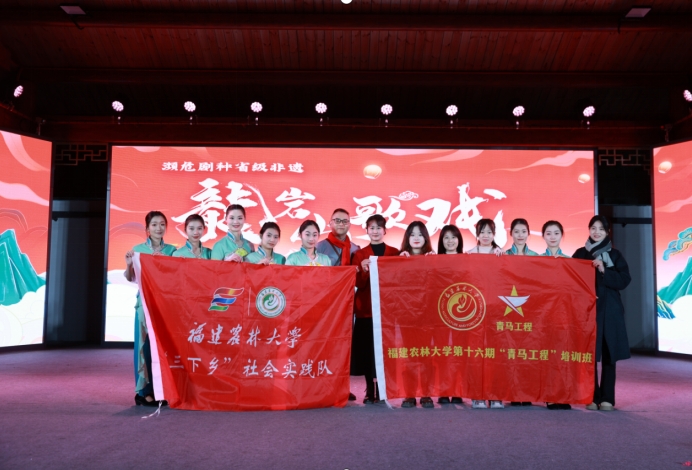 福建農林大學“青馬工程”實踐隊龍巖行:春節邂逅非遺，探尋多彩文化