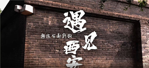 南昌大學“尋歷史文脈，踐文明新風”實踐隊赴西安開展社會實踐