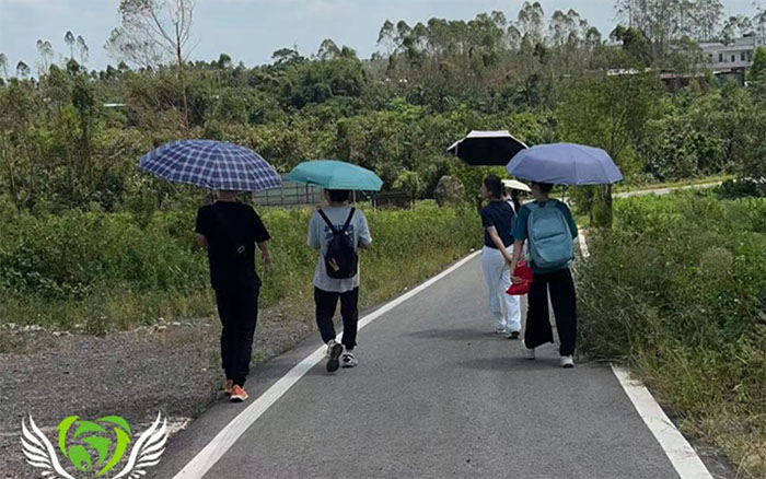 訪后塘村茶企，知鄉村振興路——華南師范大學地理科學學院青心礪行實踐隊探訪茗上茗茶園企業
