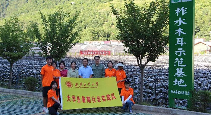 “厚植創新沃土，滋養科技之花” ——西安工業大學學生赴陜西省商洛市柞水縣金米村暑期社會實踐