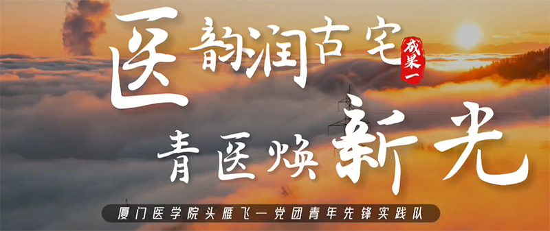廈門醫學院“頭雁飛黨團青年先鋒”實踐隊助力鄉村振興繪新篇