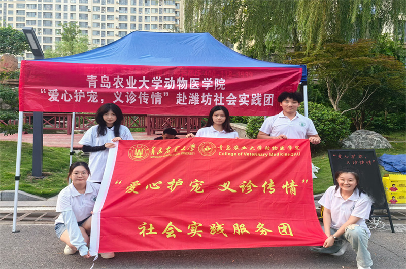 青島農業大學“愛心護寵，義診傳情”社會實踐服務團：攜手共筑愛寵家園 并肩共繪和諧畫卷