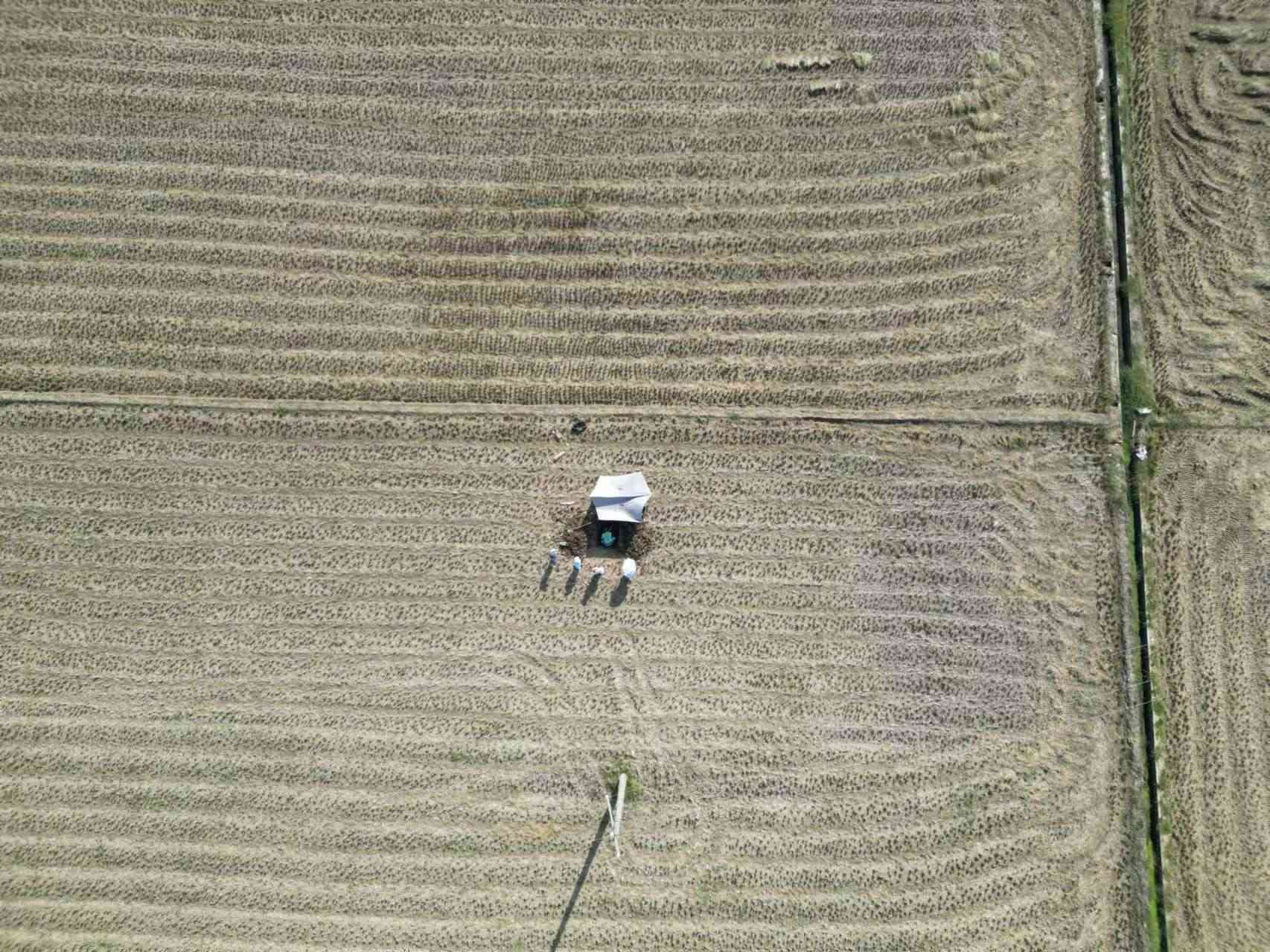 實地調研助力土壤質量評估—華農學子助力土壤三普