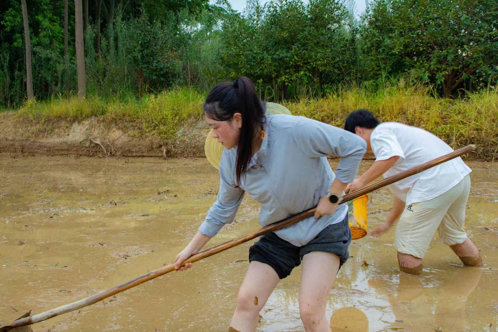“鄉(xiāng)”約盛夏，大學生下鄉(xiāng)實踐點亮鄉(xiāng)村之光