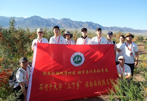 三下鄉(xiāng)科技支農：深入摸排沙棘生長，推動收獲機再升級