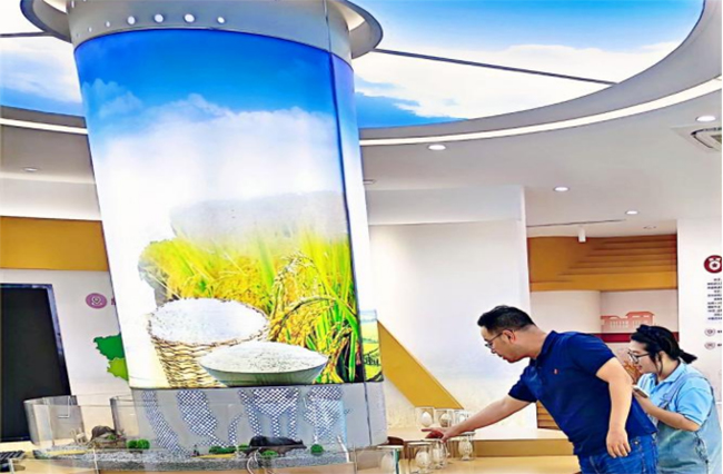 南京曉莊學院行知稻作研究團隊：深入武進水稻研究所，探尋水稻農業科技發展之路