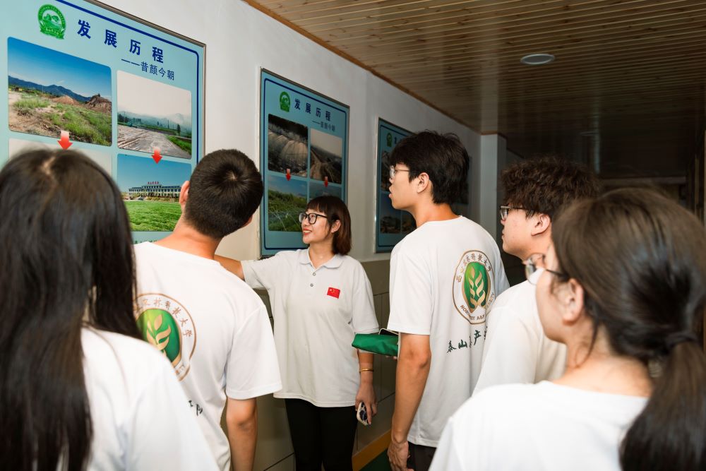 溪谷茶香邀采擷，科技助農(nóng)展風(fēng)采
