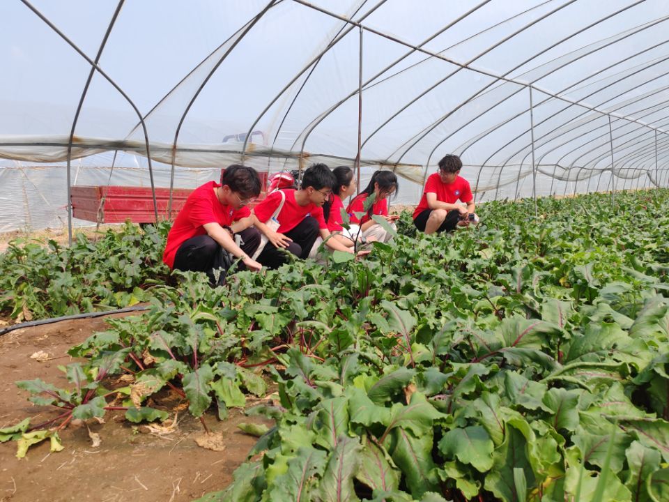 “青襟數(shù)維，共護(hù)黃河”社會實(shí)踐團(tuán)前往淄博市傅家鎮(zhèn)傅家村調(diào)研新農(nóng)村建設(shè)及孝婦河傅家段水域情況