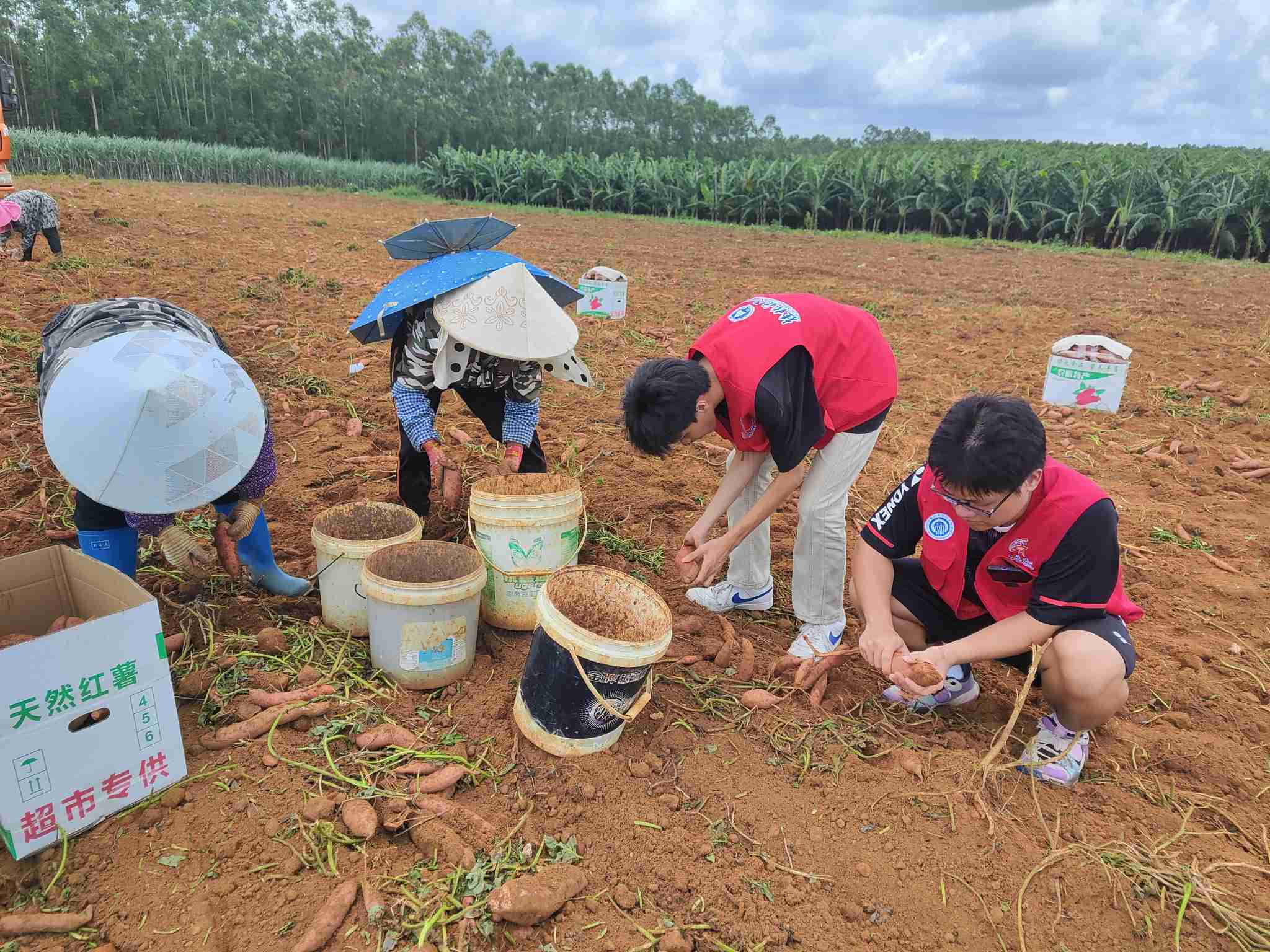 桂航學子心系鄉土，共繪振興宏圖