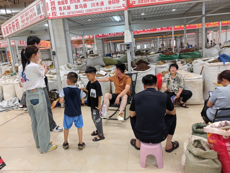 探索中醫藥知識，弘揚中醫藥文化————英語對外宣傳實踐調研團隊在行動