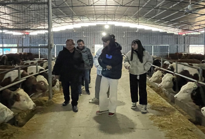 “鑫芽”團隊成員訪全州縣西嶺村牛場養殖基地助力鄉村振興