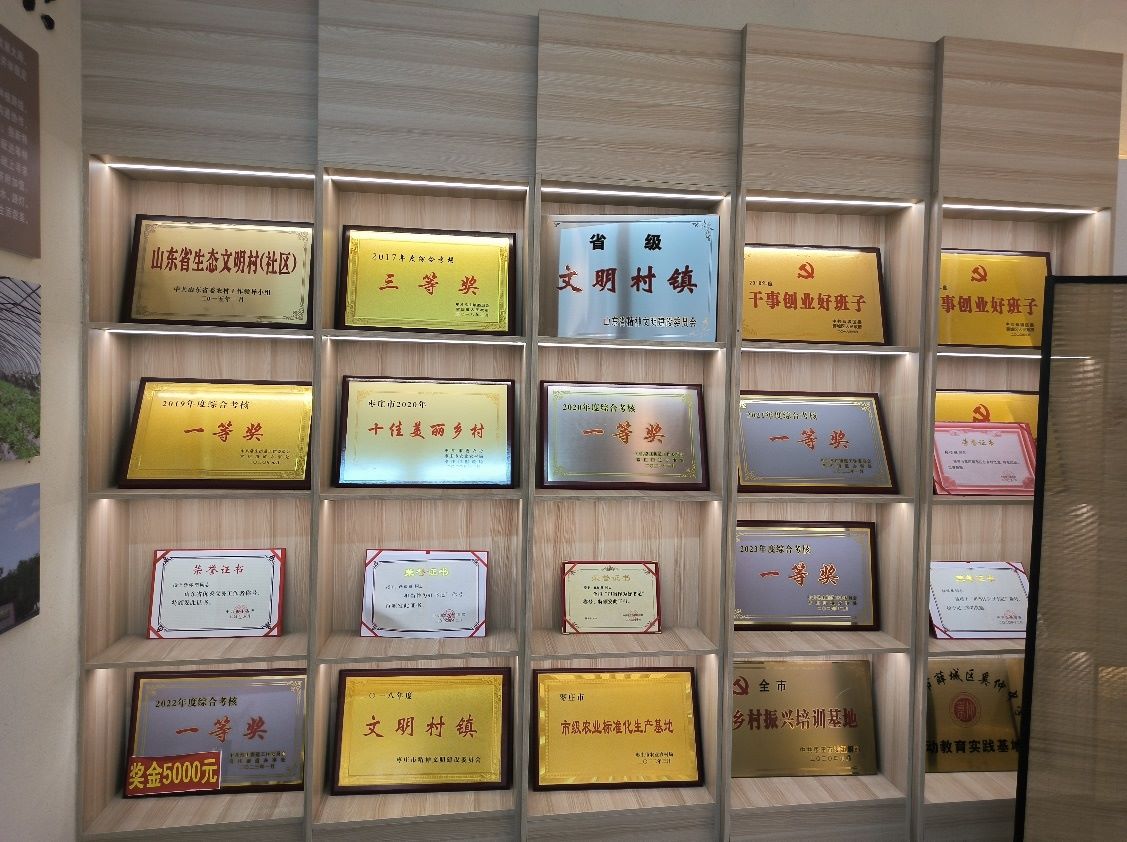 聚焦特色產業，黨建引領發展：魯東大學學子走進棗莊市薛城區常莊街道“山里紅”特色種植園