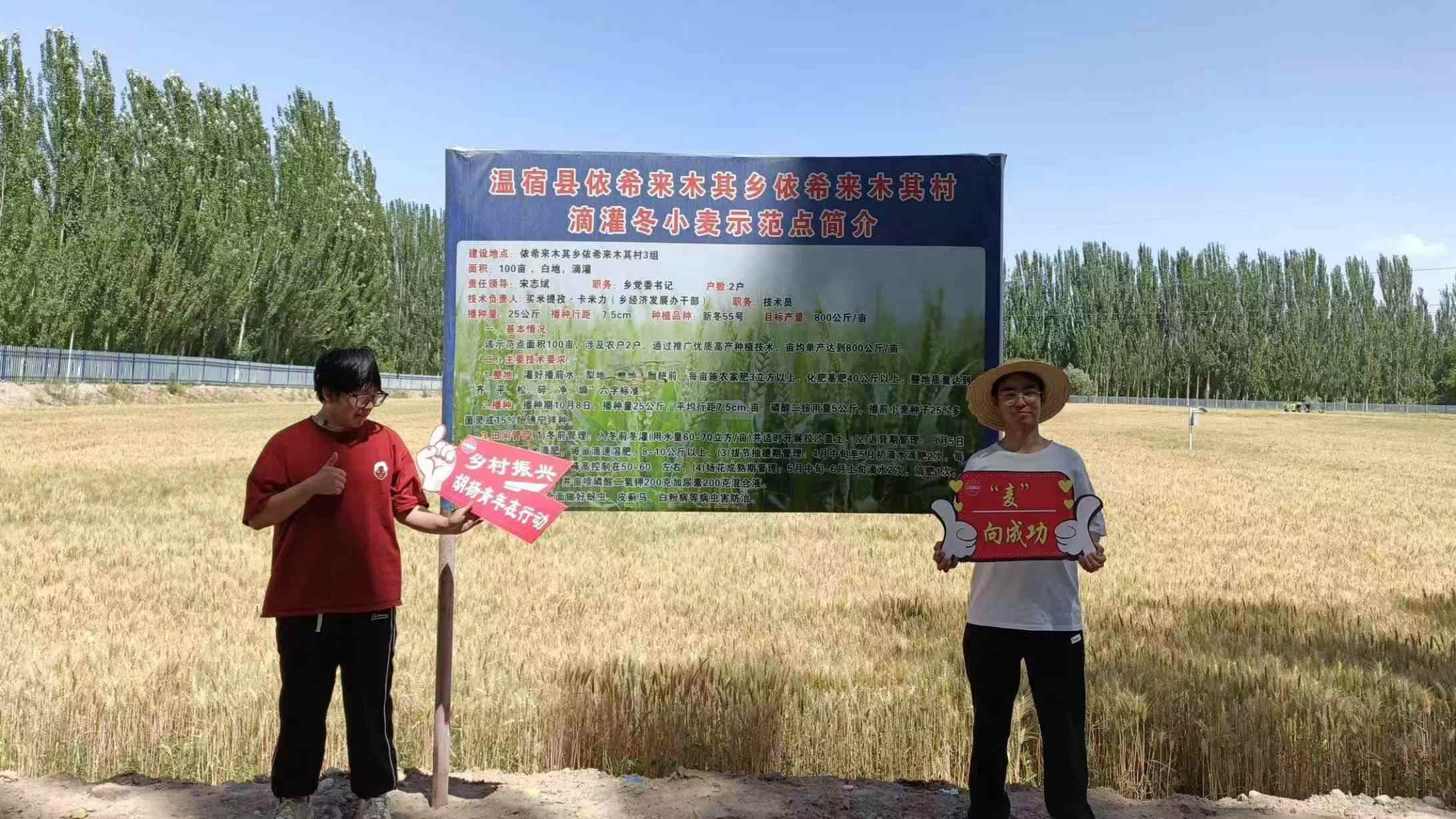 塔里木大學農學院溫宿縣冬小麥土壤理化性質調研團開展社會實踐活動