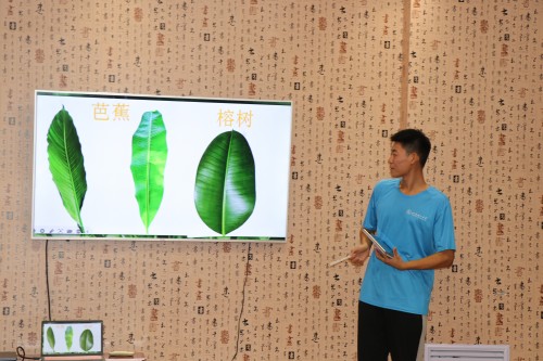 探索植物奧秘，領略環保魅力