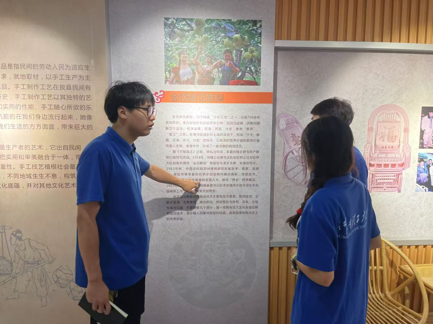 電商賦能寧陵酥梨產業，探索轉型升級新路徑—河南理工大學“梨”尚往來團隊 三下鄉
