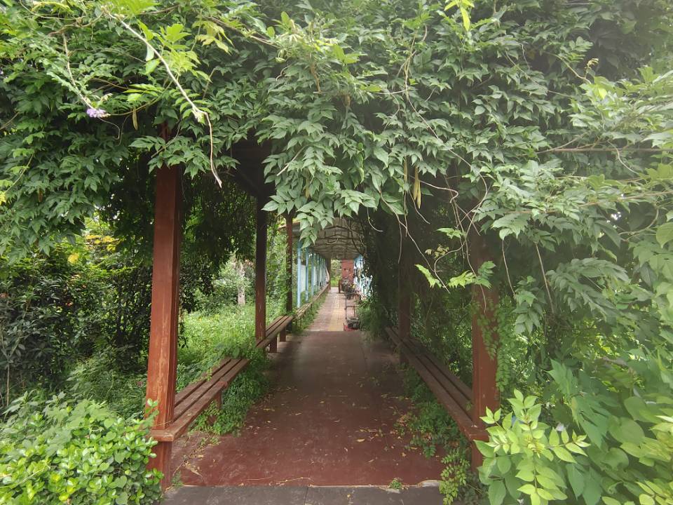 "青春的奉獻：李順雨同學暑期支教夢，點燃母校東方寄宿學校學子心"