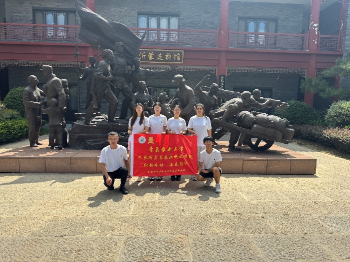 青島農(nóng)業(yè)大學(xué)巴瑟斯學(xué)院“紅韻朱村，栗志同行”實踐團(tuán)：以青春腳步丈量紅色朱村，以科技